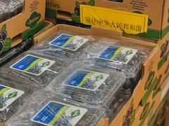 -双福水果批发市场