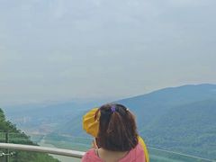 -铁山坪森林公园