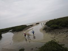 -北海金海湾红树林生态旅游区