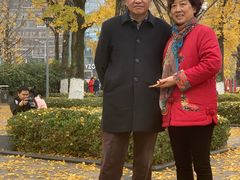 -百林公园-两江幸福广场