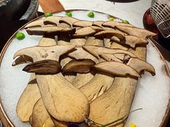 -芸山季·云南野生菌火锅(人民广场来福士店)