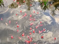景观位-聚缘堂·海鲜私房菜(松岭路店)