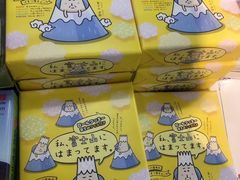 -富士山吉田線五合目