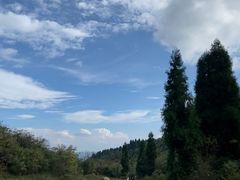 -武陵山森林公园