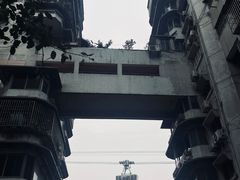 -白象居