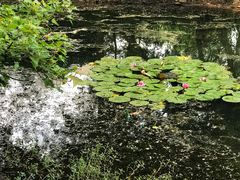 -紫霞湖公园