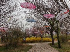 -淇河国家湿地公园