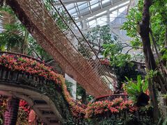 -正佳雨林生态植物园
