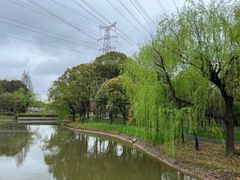 -高东镇樱花园