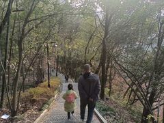 -东明山森林公园
