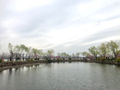 -无锡蠡湖国家湿地公园-蠡园