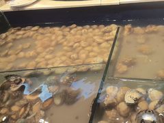 -海天盛宴新派海鲜自助餐厅(群力店)