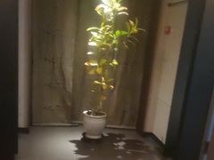 -上和臻品中国菜(花园街店)