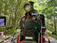 -五营红松林海景区