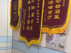 -中农国际动物医院24小时·猫科·骨科·急重症中心