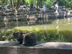 -西园寺