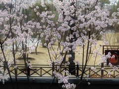 -迎泽公园