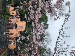 -鸡鸣寺