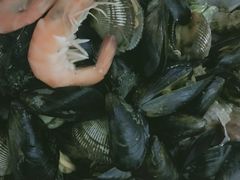 -宾朋海鲜特色美食餐厅·纯手工鲅鱼水饺(兴海路店)