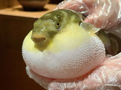 -肆月河豚·淮扬菜·湘菜(华天店)