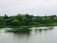 -长广溪湿地公园