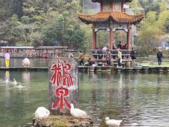 -靖西鹅泉风景区