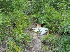 -北京鹫峰国家森林公园