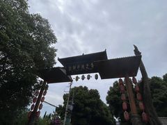 -小杨翘脚牛肉