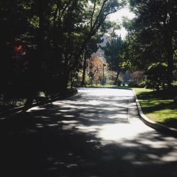 -上海瑞金洲际酒店·宴会厅