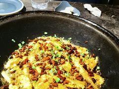 -肥鱼屯活鱼锅(惠工街店)