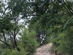 -北京上方山国家森林公园