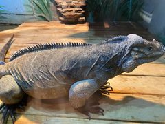 -石家庄市动物园