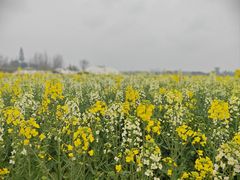 -中国天府农业博览园