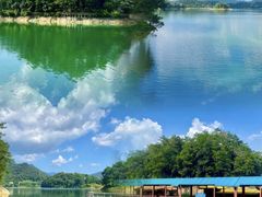 -广州市流溪河国家森林公园