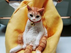 -东椰·海南椰子鸡火锅(朝阳门店)