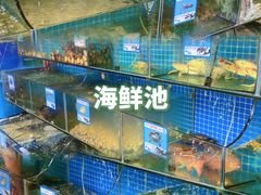 -范饭椰林川湘味海鲜·椰子鸡(三亚湾椰梦长廊店)