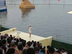 -秦皇岛乐岛海洋王国