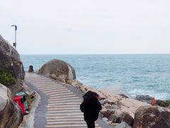 -广东惠东海龟国家级自然保护区