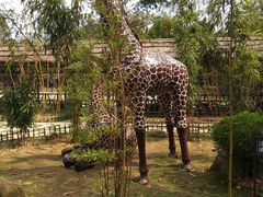 -揭东万竹园旅游景区