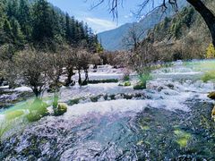 -九寨沟-树正沟