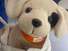 -爱侣宠医·鹦鹉专科·小型哺乳类·异宠专科(灵石路店)