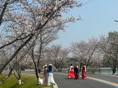 -羊山湖公园