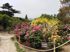 -国家植物园南园