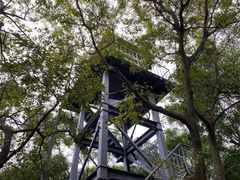 -广州市白云山风景名胜区