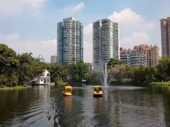-晓港公园