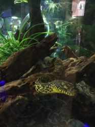 -未来动物城主题公园(正弘城店)