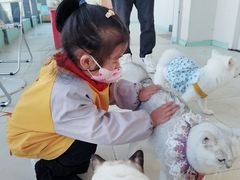 -怪兽屋·羊驼·猫咖·狗咖(俊华广场店)