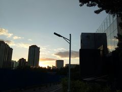-桐寿司Sushi Tong