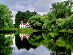 -上海共青森林公园