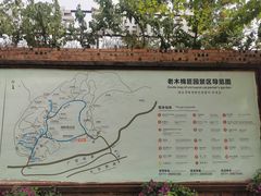 -老木棉·匠园